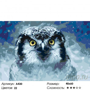 Количество цветов и сложность Зимняя сова Раскраска картина по номерам на холсте A430