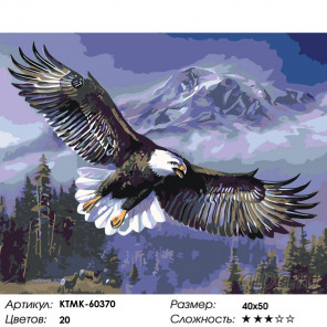 Количество цветов и сложность Парящий орлан Раскраска картина по номерам на холсте KTMK-60370