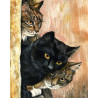 Три кота Раскраска картина по номерам на холсте