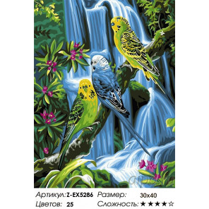 Количество цветов и сложность Волнистые попугаи Раскраска картина по номерам на холсте Z-EX5286