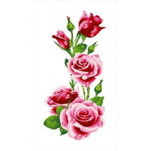 Розы Набор для вышивания Каролинка