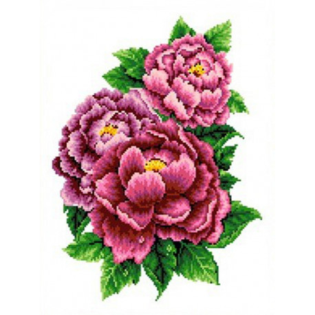 Розовые пионы Набор для вышивания Каролинка