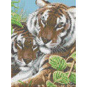 Тигры Канва с рисунком для вышивки Каролинка