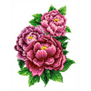 Розовые пионы Канва с рисунком для вышивки Каролинка