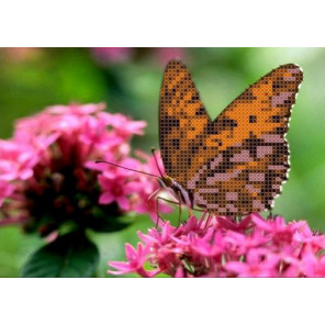 Бабочка Канва с рисунком для вышивки бисером