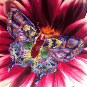 Бабочка Набор для вышивки бисером FeDi