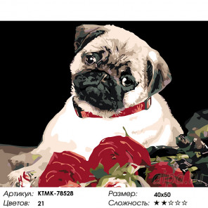  Мопс с розами Раскраска картина по номерам на холсте  KTMK-78528