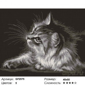  Серая кошка Алмазная вышивка мозаика Painting Diamond GF2575