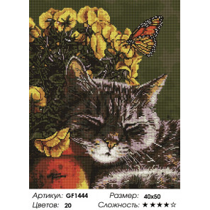 Количество цветов и сложность Мурчание кота Алмазная вышивка мозаика Painting Diamond GF1444