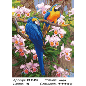  Яркие попугаи Раскраска картина по номерам на холсте ZX 21453