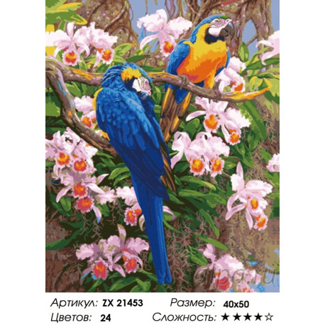 Количество цветов и сложность Яркие попугаи Раскраска картина по номерам на холсте ZX 21453
