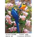 Яркие попугаи Раскраска картина по номерам на холсте