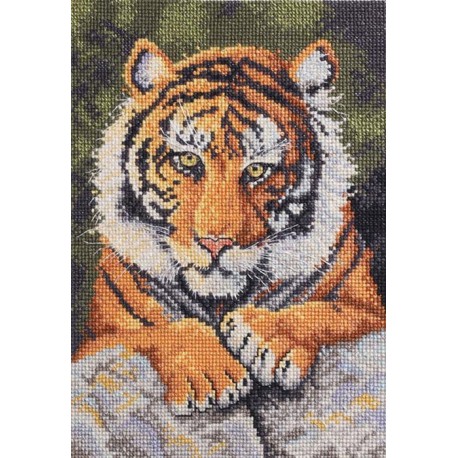 Бенгальский тигр 45475 Набор для вышивания Bucilla