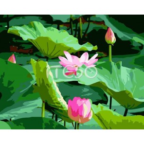 Цветок лотоса Раскраска по номерам акриловыми красками на холсте Iteso Картина по номерам