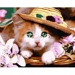 Зеленоглазый котенок Раскраска по номерам акриловыми красками на холсте Menglei