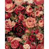  Множество роз Раскраска картина по номерам на холсте KTMK-87286