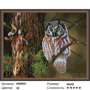 Количество цветов и сложность Ночной охотник Алмазная мозаика вышивка на подрамнике КМ0031