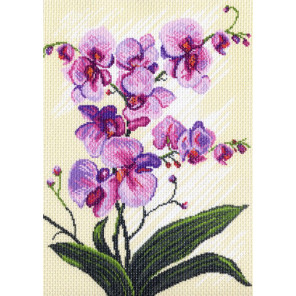 Орхидеи, композиция Канва с рисунком для вышивки Матренин посад