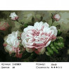 Количество цветов и сложность Легкость пионов Раскраска картина по номерам на холсте Z-EX5831