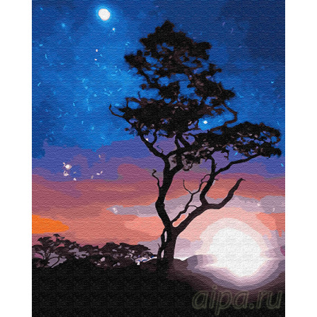  В звёздном сиянии Раскраска картина по номерам на холсте Z-GX23214