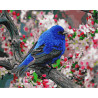  Синяя птица счастья Раскраска картина по номерам на холсте Z-GX23193