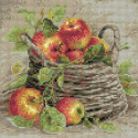 Спелые яблоки Алмазная вышивка мозаика Риолис
