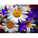 Полевые цветы Ткань для вышивки лентами Каролинка
