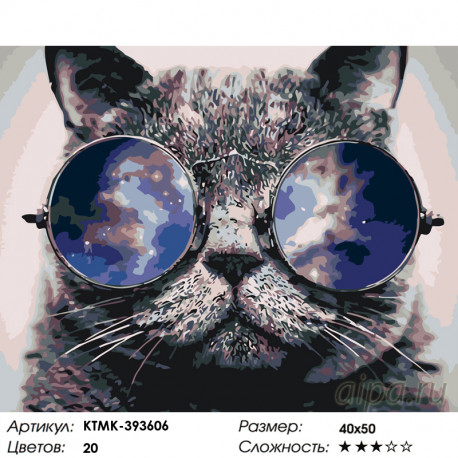 Количество цветов и сложность Стильный кот Раскраска по номерам на холсте Живопись по номерам KTMK-393606