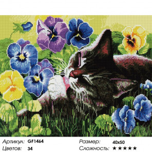 Количество цветов и сложность Кот в цветах Алмазная мозаика вышивка Painting Diamond GF1464