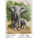 Семейство слонов Алмазная вышивка мозаика на подрамнике
