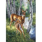 Лань и олененок 91358 Раскраска картина по номерам Dimensions