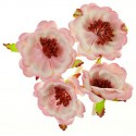 Магнолии Бело–розовые Цветы бумажные для скрапбукинга, кардмейкинга Scrapberry's