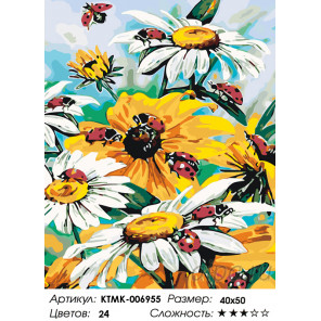Количество цветов и сложность Садовые ромашки Раскраска по номерам на холсте Живопись по номерам KTMK-006955