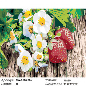 Количество цветов и сложность Спелая земляника Раскраска по номерам на холсте Живопись по номерам KTMK-006956