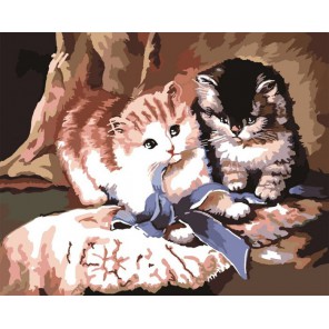 Игра котят Раскраска картина по номерам акриловыми красками на холсте Color Kit