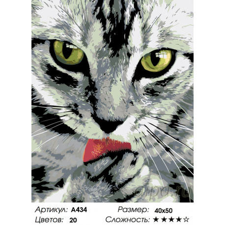 Количество цветов и сложность Чистоплотный котик Раскраска по номерам на холсте Живопись по номерам A434