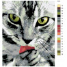 схема Чистоплотный котик Раскраска по номерам на холсте Живопись по номерам