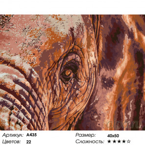  Мудрый слон Раскраска по номерам на холсте Живопись по номерам A435