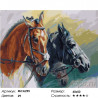 Количество цветов и сложность Грациозные лошади Раскраска картина по номерам на холсте МСА295