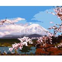 Цветение сакуры Раскраска картина по номерам на холсте Iteso