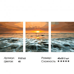  Морской закат Триптих Раскраска картина по номерам на холсте PX5163