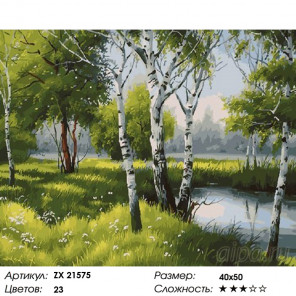  Лесные березки Раскраска картина по номерам на холсте ZX 21575