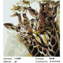 Два жирафа Раскраска по номерам на холсте Живопись по номерам
