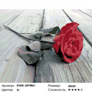Сложность и количество цветов Красная роза на сером Раскраска картина по номерам на холсте KTMK-2474861