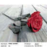 Сложность и количество цветов Красная роза на сером Раскраска картина по номерам на холсте KTMK-2474861