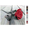 Раскладка Красная роза на сером Раскраска картина по номерам на холсте KTMK-2474861