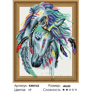  Индейский конь Алмазная мозаика вышивка на подрамнике 3D  KM0162