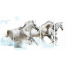  Белые лошади Модульная картина по номерам на холсте с подрамником WX1087