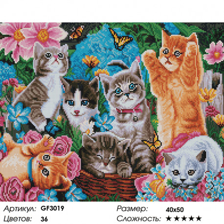 Количество цветов и сложность Игривые котята Алмазная мозаика вышивка на подрамнике Painting Diamond GF3019