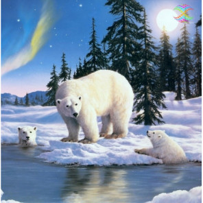Медведи и северное сияние, Энтони Касай Алмазная вышивка мозаика Алмазное Хобби